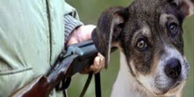 &Alpha;&pi;&omicron;&lambda;&omicron;&gamma;&epsilon;ί&tau;&alpha;&iota; &omicron; &alpha;&sigma;&tau;&upsilon;&nu;&omicron;&mu;&iota;&kappa;ό&sigmaf; &pi;&omicron;&upsilon; &pi;&upsilon;&rho;&omicron;&beta;ό&lambda;&eta;&sigma;&epsilon; &tau;&omicron; &sigma;&kappa;ύ&lambda;&omicron;