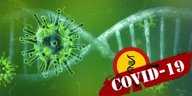 &Kappa;&omicron;&rho;&omicron;&nu;&omicron;ϊό&sigmaf;: &Delta;&epsilon;&nu; &sigma;&upsilon;&mu;&mu;&omicron;&rho;&phi;ώ&nu;&omicron;&nu;&tau;&alpha;&iota; &omicron;&iota; Έ&lambda;&lambda;&eta;&nu;&epsilon;&sigmaf; &mu;&epsilon; &tau;&alpha; &mu;έ&tau;&rho;&alpha; - 174 &sigma;&upsilon;&lambda;&lambda;ή&psi;&epsilon;&iota;&sigmaf;