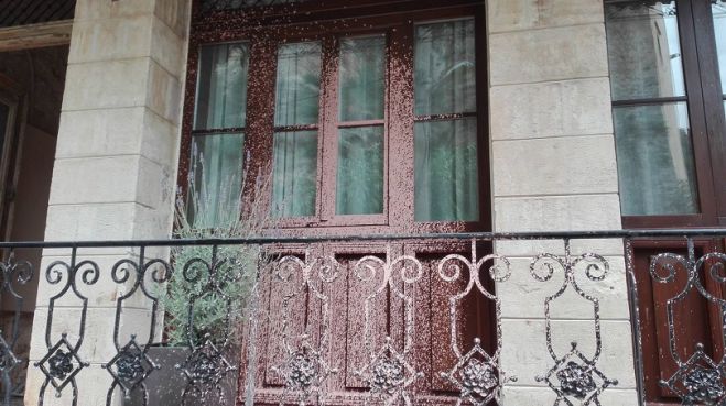 &Beta;&alpha;&nu;&delta;&alpha;&lambda;&iota;&sigma;&mu;&omicron;ί &sigma;&epsilon; &xi;&epsilon;&nu;&omicron;&delta;&omicron;&chi;&epsilon;ί&omicron; &sigma;&tau;&omicron; &pi;&alpha;&lambda;&iota;ό &lambda;&iota;&mu;ά&nu;&iota; &tau;&omega;&nu; &Chi;&alpha;&nu;ί&omega;&nu;