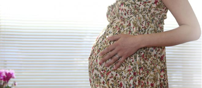 &Alpha;&pi;ί&sigma;&tau;&epsilon;&upsilon;&tau;&omicron; &pi;&epsilon;&rho;&iota;&sigma;&tau;&alpha;&tau;&iota;&kappa;ό &kappa;ύ&eta;&sigma;&eta;&sigmaf; &sigma;&tau;&omicron; &Eta;&rho;ά&kappa;&lambda;&epsilon;&iota;&omicron;-&Gamma;&iota;&alpha;&tau;&rho;&omicron;ί &delta;&epsilon;&nu; &pi;ί&sigma;&tau;&epsilon;&upsilon;&alpha;&nu; &alpha;&upsilon;&tau;ό &pi;&omicron;&upsilon; &epsilon;ί&delta;&alpha;&nu;