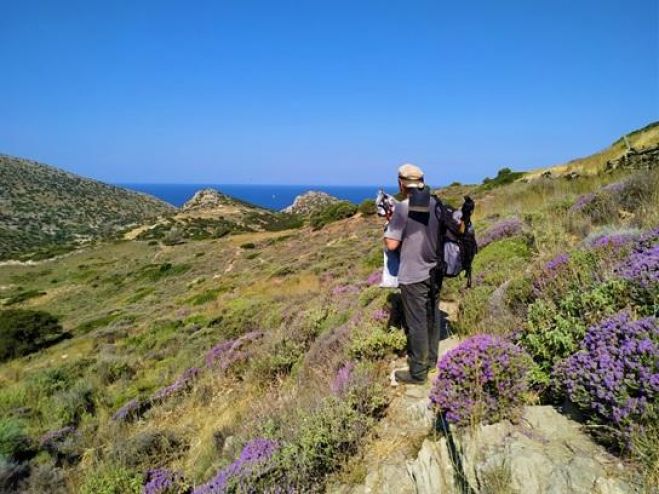 &Pi;&rho;&omicron;&gamma;&rho;ά&mu;&mu;&alpha;&tau;&alpha; &alpha;&nu;ά&delta;&epsilon;&iota;&xi;&eta;&sigmaf; &pi;&rho;&omicron;&sigma;&tau;&alpha;&tau;&epsilon;&upsilon;ό&mu;&epsilon;&nu;&omega;&nu; &pi;&epsilon;&rho;&iota;&omicron;&chi;ώ&nu;