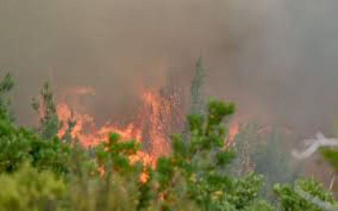 &Pi;&upsilon;&rho;&kappa;&alpha;&gamma;&iota;ά &sigma;&tau;&iota;&sigmaf; &Beta;&rho;ύ&sigma;&epsilon;&sigmaf; &Alpha;&pi;&omicron;&kappa;&omicron;&rho;ώ&nu;&omicron;&upsilon; &kappa;&alpha;&iota; &sigma;&tau;&omicron;&nu; &Alpha;&lambda;&iota;&kappa;&iota;&alpha;&nu;ό
