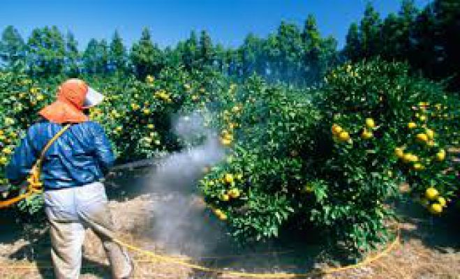 &Epsilon;&kappa;&delta;ή&lambda;&omega;&sigma;&eta; &gamma;&iota;&alpha; &tau;&iota;&sigmaf; &epsilon;&pi;&iota;&pi;&tau;ώ&sigma;&epsilon;&iota;&sigmaf; &tau;&omega;&nu; &phi;&upsilon;&tau;&omicron;&phi;&alpha;&rho;&mu;ά&kappa;&omega;&nu;