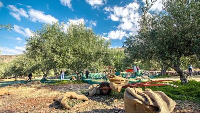 &Tau;&omicron; &laquo;&alpha;&gamma;&kappa;ά&theta;&iota;&raquo; &tau;&eta;&sigmaf; &delta;&alpha;&kappa;&omicron;&kappa;&tau;&omicron;&nu;ί&alpha;&sigmaf; - &Alpha;&nu;ά&gamma;&kappa;&eta; &gamma;&iota;&alpha; &pi;&epsilon;&rho;&iota;&sigma;&sigma;ό&tau;&epsilon;&rho;&omicron;&upsilon;&sigmaf; &psi;&epsilon;&kappa;&alpha;&sigma;&mu;&omicron;ύ&sigmaf; &sigma;&tau;&eta;&nu; &Kappa;&rho;ή&tau;&eta;