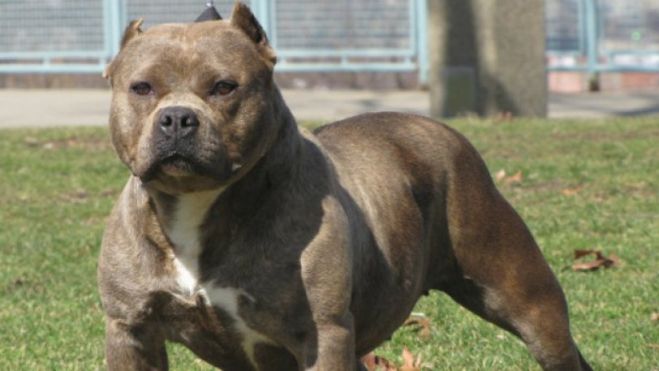 &Sigma;&tau;&omicron; &nu;&omicron;&sigma;&omicron;&kappa;&omicron;&mu;&epsilon;ί&omicron; 2 ά&tau;&omicron;&mu;&alpha; &pi;&omicron;&upsilon; &tau;&alpha; &delta;ά&gamma;&kappa;&omega;&sigma;&epsilon; &pi;&iota;&tau; &mu;&pi;&omicron;&upsilon;&lambda;