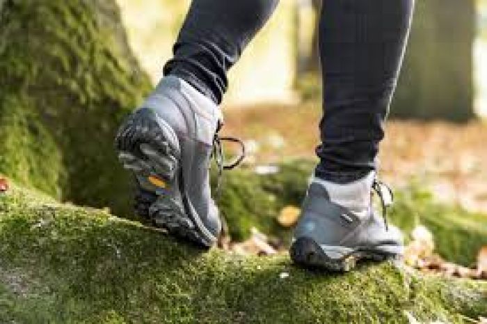 &Omicron; &Omicron;&rho;&epsilon;&iota;&beta;&alpha;&tau;&iota;&kappa;ό&sigmaf; &Chi;&alpha;&nu;ί&omega;&nu; &alpha;&pi;ό &tau;&omicron;&upsilon;&sigmaf; &Lambda;ά&kappa;&kappa;&omicron;&upsilon;&sigmaf; &Kappa;&upsilon;&delta;&omega;&nu;ί&alpha;&sigmaf; &sigma;&tau;&omicron; &omicron;&rho;&omicron;&pi;έ&delta;&iota;&omicron; &Omicron;&mu;&alpha;&lambda;&omicron;ύ