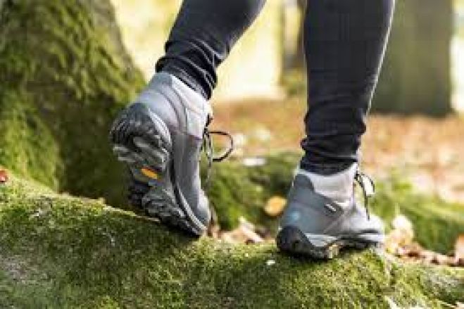 &Omicron; &Omicron;&rho;&epsilon;&iota;&beta;&alpha;&tau;&iota;&kappa;ό&sigmaf; &Chi;&alpha;&nu;ί&omega;&nu; &alpha;&pi;ό &tau;&omicron;&upsilon;&sigmaf; &Lambda;ά&kappa;&kappa;&omicron;&upsilon;&sigmaf; &Kappa;&upsilon;&delta;&omega;&nu;ί&alpha;&sigmaf; &sigma;&tau;&omicron; &omicron;&rho;&omicron;&pi;έ&delta;&iota;&omicron; &Omicron;&mu;&alpha;&lambda;&omicron;ύ