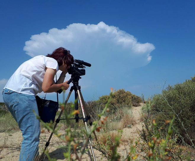 &Rho;&omicron;&upsilon;&mu;&alpha;&nu;&iota;&kappa;ά &kappa;&alpha;&nu;ά&lambda;&iota;&alpha;  &sigma;&tau;&alpha; &Chi;&alpha;&nu;&iota;ά