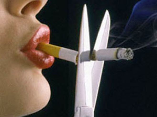 &Gamma;&iota;&omicron;&rho;&tau;ά&zeta;&omicron;&upsilon;&nu; &tau;&eta;&nu; &Eta;&mu;έ&rho;&alpha; &kappa;&alpha;&tau;ά &tau;&omicron;&upsilon; &Kappa;&alpha;&pi;&nu;ί&sigma;&mu;&alpha;&tau;&omicron;&sigmaf; &mu;&epsilon; &mu;&omicron;&upsilon;&sigma;/&chi;&omicron;&rho;&epsilon;&upsilon;&tau;&iota;&kappa;ή &epsilon;&kappa;&delta;ή&lambda;&omega;&sigma;&eta;