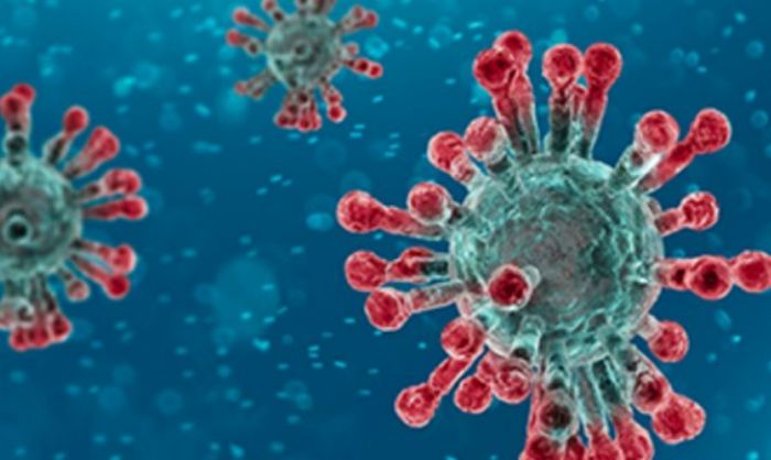 &Xi;&epsilon;&kappa;&iota;&nu;ά&epsilon;&iota; &omicron;&rho;&omicron;&epsilon;&pi;&iota;&delta;&eta;&mu;&iota;&omicron;&lambda;&omicron;&gamma;&iota;&kappa;ή &mu;&epsilon;&lambda;έ&tau;&eta; &sigma;&tau;&eta;&nu; &Kappa;&rho;ή&tau;&eta; &gamma;&iota;&alpha; &tau;&omicron;&nu; &kappa;&omicron;&rho;&omega;&nu;&omicron;ϊό