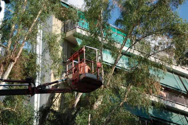 Κλάδεμα δέντρων στην πλατεία Βαφέ στην περιοχή της Νέας Χώρας