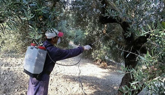 &Xi;&epsilon;&kappa;ί&nu;&eta;&sigma;&alpha;&nu; &omicron;&iota; &delta;&omicron;&lambda;&omega;&mu;&alpha;&tau;&iota;&kappa;&omicron;ί &psi;&epsilon;&kappa;&alpha;&sigma;&mu;&omicron;ί &sigma;&tau;&omicron;&nu; &Alpha;&pi;&omicron;&kappa;ό&rho;&omega;&nu;&alpha;