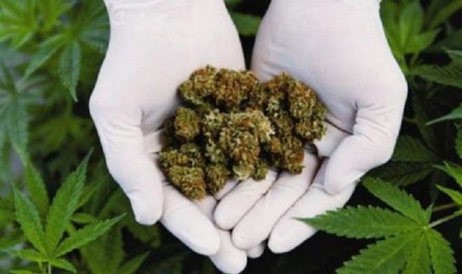 &Sigma;&upsilon;&nu;&epsilon;&lambda;ή&phi;&theta;&eta; 51&chi;&rho;&omicron;&nu;&omicron;&sigmaf; &mu;&epsilon; 200 &gamma;&rho;&alpha;&mu;&mu;ά&rho;&iota;&alpha; &kappa;ά&nu;&nu;&alpha;&beta;&eta;&sigmaf; &sigma;&tau;&omicron; &sigma;&pi;ί&tau;&iota; &tau;&omicron;&upsilon;