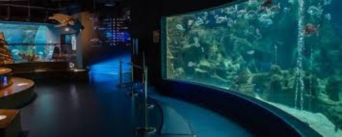 &Epsilon;&nu;&upsilon;&delta;&rho;&epsilon;ί&omicron; &Kappa;&rho;ή&tau;&eta;&sigmaf;: &Pi;&rho;&omicron;&lambda;&eta;&pi;&tau;&iota;&kappa;ή &alpha;&nu;&alpha;&sigma;&tau;&omicron;&lambda;ή &lambda;&epsilon;&iota;&tau;&omicron;&upsilon;&rho;&gamma;ί&alpha;&sigmaf; &lambda;ό&gamma;&omega; &kappa;&omicron;&rho;&omega;&nu;&omicron;&iota;&omicron;ύ