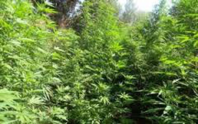 &Pi;&alpha;&tau;έ&rho;&alpha;&sigmaf; &kappa;&alpha;&iota; &gamma;&iota;&omicron;&sigmaf; &delta;&iota;&kappa;ά&zeta;&omicron;&nu;&tau;&alpha;&iota; &gamma;&iota;&alpha; &chi;&alpha;&sigma;&iota;&sigma;&omicron;&phi;&upsilon;&tau;&epsilon;ί&alpha;.