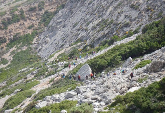 &Psi;ά&chi;&nu;&omicron;&upsilon;&nu; &zeta;&epsilon;&upsilon;&gamma;ά&rho;&iota; &alpha;&lambda;&lambda;&omicron;&delta;&alpha;&pi;ώ&nu; &sigma;&epsilon; &mu;&omicron;&nu;&omicron;&pi;ά&tau;&iota; &tau;&eta;&sigmaf; &Kappa;&rho;ή&tau;&eta;&sigmaf;