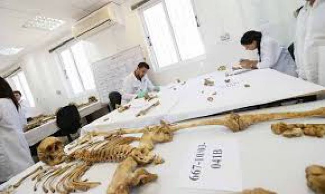 &Psi;ά&chi;&nu;&omicron;&upsilon;&nu; &alpha;&nu;ά&mu;&epsilon;&sigma;&alpha; &sigma;&epsilon; 5 &alpha;&gamma;&nu;&omicron;&omicron;ύ&mu;&epsilon;&nu;&epsilon;&sigmaf; &gamma;&upsilon;&nu;&alpha;ί&kappa;&epsilon;&sigmaf; &tau;&eta;&nu; &tau;&alpha;&upsilon;&tau;ό&tau;&eta;&tau;&alpha; &tau;&omicron;&upsilon; &sigma;&kappa;&epsilon;&lambda;&epsilon;&tau;&omicron;ύ