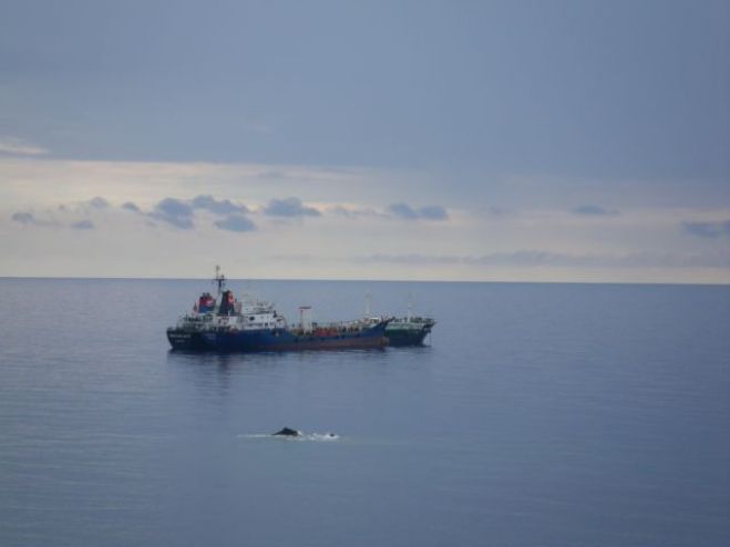 &Alpha;&gamma;&omega;&nu;ί&alpha; &gamma;&iota;&alpha; &tau;&eta;&nu; &tau;ύ&chi;&eta; 33&chi;&rho;&omicron;&nu;&omicron;&upsilon; &psi;&alpha;&rho;&omicron;&nu;&tau;&omicron;&upsilon;&phi;&epsilon;&kappa;ά &sigma;&tau;&omicron;&upsilon;&sigmaf; &Kappa;&alpha;&lambda;&omicron;ύ&sigmaf; &Lambda;&iota;&mu;έ&nu;&epsilon;&sigmaf;