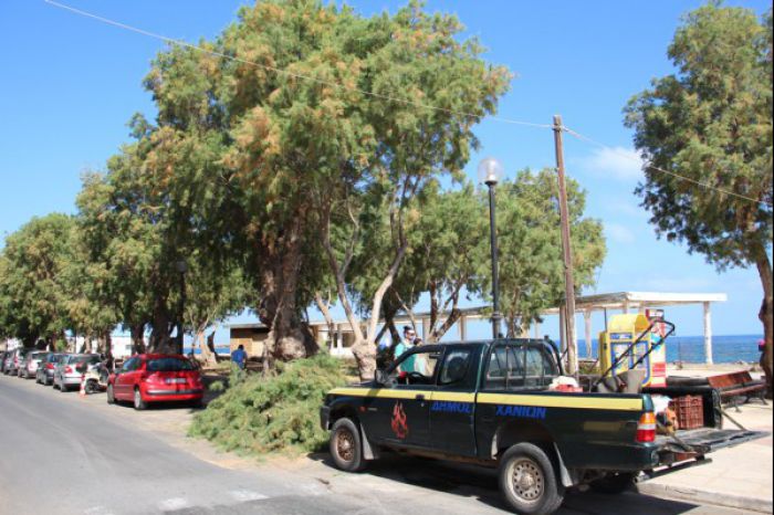 Καθαρισμός δέντρων στη Νέα Χώρα