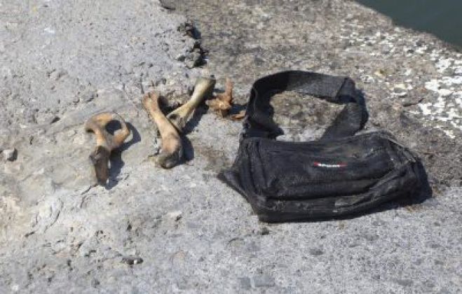 &Lambda;ύ&theta;&eta;&kappa;&epsilon; &tau;&omicron; &mu;&upsilon;&sigma;&tau;ή&rho;&iota;&omicron; &mu;&epsilon; &tau;&alpha; "&omicron;&rho;&phi;&alpha;&nu;ά" &omicron;&sigma;&tau;ά &sigma;&tau;&omicron; &Eta;&rho;ά&kappa;&lambda;&epsilon;&iota;&omicron;