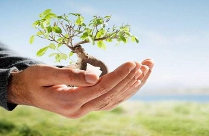 &Kappa;&alpha;&theta;&alpha;&rho;&iota;&sigma;&mu;ό&sigmaf; &tau;&omicron;&upsilon; &Kappa;&alpha;&rho;ά&beta;&omicron;&lambda;&alpha; &kappa;&alpha;&iota; ά&lambda;&lambda;&epsilon;&sigmaf; &delta;&rho;ά&sigma;&epsilon;&iota;&sigmaf; &tau;&omicron;&upsilon; &Delta;ή&mu;&omicron;&upsilon; &Eta;&rho;&alpha;&kappa;&lambda;&epsilon;ί&omicron;&upsilon;