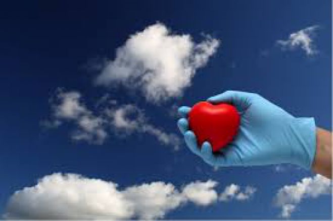 &Epsilon;&beta;&delta;&omicron;&mu;ά&delta;&alpha; &alpha;&phi;&iota;&epsilon;&rho;&omega;&mu;έ&nu;&eta; &sigma;&tau;&eta;&nu; &delta;&omega;&rho;&epsilon;ά &omicron;&rho;&gamma;ά&nu;&omega;&nu; &sigma;&tau;&alpha; &Chi;&alpha;&nu;&iota;ά