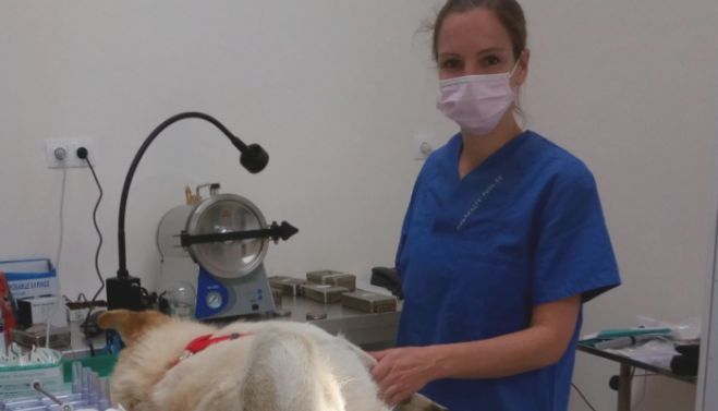 &Mu;&epsilon; έ&xi;&omicron;&delta;&alpha; &tau;&omega;&nu; &Gamma;&epsilon;&rho;&mu;&alpha;&nu;ώ&nu; &omicron;&iota; &sigma;&tau;&epsilon;&iota;&rho;ώ&sigma;&epsilon;&iota;&sigmaf; &alpha;&delta;έ&sigma;&pi;&omicron;&tau;&omega;&nu; &sigma;&tau;&alpha; &Chi;&alpha;&nu;&iota;ά