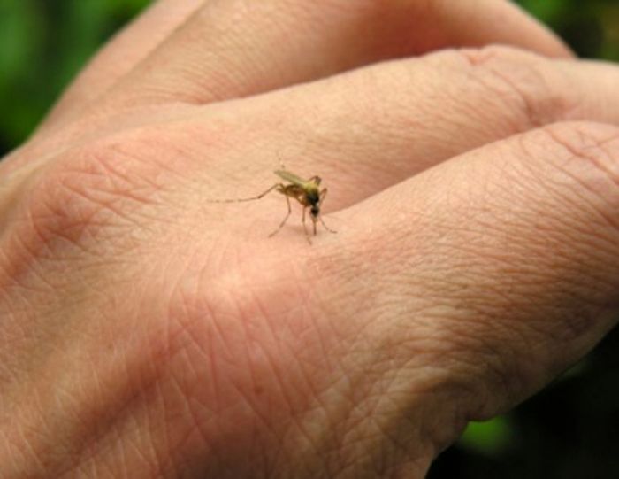 &Epsilon;&phi;&alpha;&rho;&mu;&omicron;&gamma;ή &tau;&omicron;&upsilon; έ&rho;&gamma;&omicron;&upsilon; &kappa;&alpha;&tau;&alpha;&pi;&omicron;&lambda;έ&mu;&eta;&sigma;&eta;&sigmaf; &kappa;&omicron;&upsilon;&nu;&omicron;&upsilon;&pi;&iota;ώ&nu; &tau;&eta;&sigmaf; &Pi;&epsilon;&rho;&iota;&phi;έ&rho;&epsilon;&iota;&alpha;&sigmaf; &Kappa;&rho;ή&tau;&eta;&sigmaf; &gamma;&iota;&alpha; &tau;&omicron; έ&tau;&omicron;&sigmaf; 2019.
