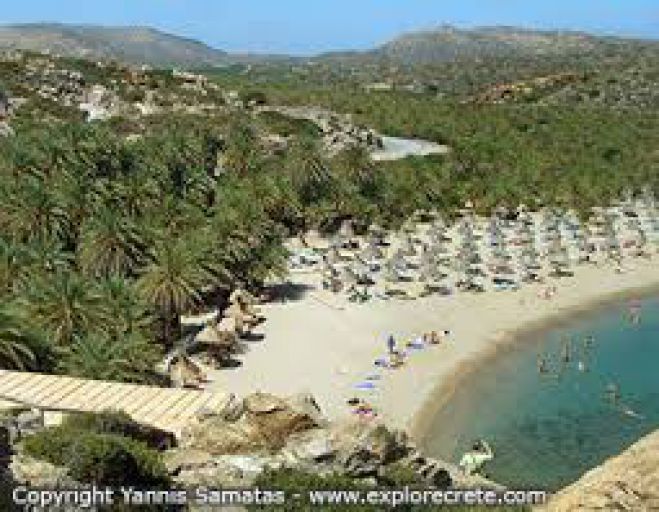 Έ&beta;&alpha;&lambda;&epsilon; &rho;&omicron;&tau;ό&nu;&tau;&epsilon;&sigmaf; &sigma;&tau;&omicron; &phi;&omicron;&iota;&nu;&iota;&kappa;ό&delta;&alpha;&sigma;&omicron;&sigmaf; &lambda;ό&gamma;&omega;... &beta;ά&phi;&tau;&iota;&sigma;&eta;&sigmaf;