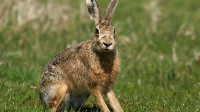 &Lambda;&alpha;&gamma;ό&hellip; &kappa;&omicron;&iota;&mu;ή&theta;&eta;&kappa;&epsilon; &sigma;&tau;&alpha; &kappa;&rho;&alpha;&tau;&eta;&tau;ή&rho;&iota;&alpha;