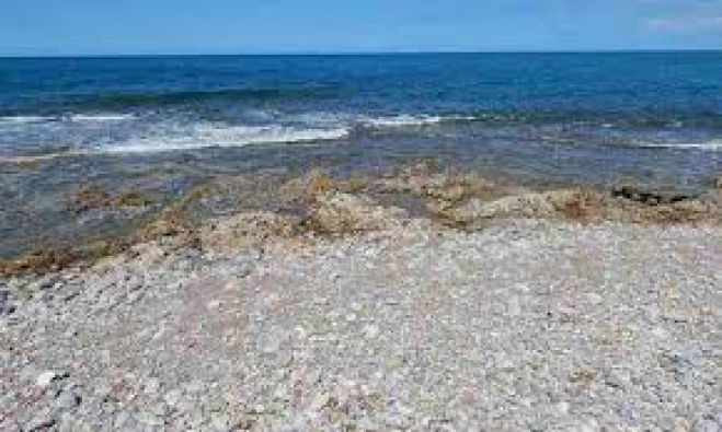 &Nu;&epsilon;&kappa;&rho;ό &zeta;&epsilon;&upsilon;&gamma;ά&rho;&iota; &epsilon;&nu;&tau;&omicron;&pi;ί&sigma;&tau;&eta;&kappa;&epsilon; &sigma;&epsilon; &pi;&alpha;&rho;&alpha;&lambda;ί&alpha;