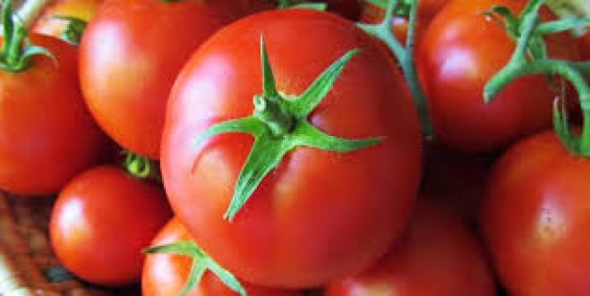 &Omicron; &Sigma;ύ&lambda;&lambda;&omicron;&gamma;&omicron;&sigmaf; &Tau;&rho;&iota;ώ&nu; &Tau;έ&kappa;&nu;&omega;&nu; &Chi;&alpha;&nu;ί&omega;&nu; &theta;&alpha; &mu;&omicron;&iota;&rho;ά&sigma;&epsilon;&iota; &delta;&omega;&rho;&epsilon;ά&nu; &nu;&tau;&omicron;&mu;ά&tau;&epsilon;&sigmaf;