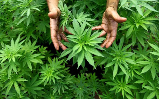 &Gamma;&iota;&gamma;&alpha;&nu;&tau;&iota;&alpha;ί&alpha; &epsilon;&pi;&iota;&chi;&epsilon;ί&rho;&eta;&sigma;&eta; &tau;&eta;&sigmaf; &Epsilon;&Lambda;.&Alpha;&Sigma; &sigma;&tau;&omicron;&nu; &omicron;&rho;&epsilon;&iota;&nu;ό &Mu;&upsilon;&lambda;&omicron;&pi;ό&tau;&alpha;&mu;&omicron;