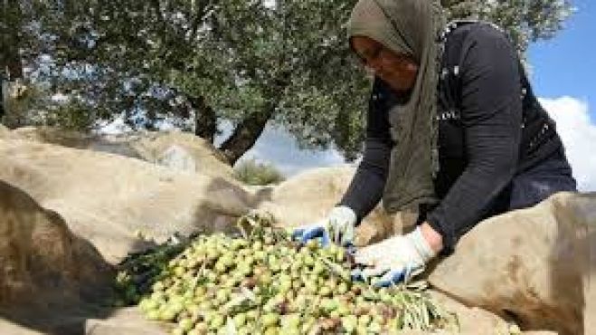 Έ&lambda;&epsilon;&gamma;&chi;&omicron;&iota; &sigma;&tau;&eta;&nu; &Kappa;&rho;ή&tau;&eta; &alpha;&pi;ό &tau;&omicron; &Upsilon;&pi;&omicron;&upsilon;&rho;&gamma;&epsilon;ί&omicron; &gamma;&iota;&alpha; &tau;&eta;&nu; &epsilon;&lambda;&alpha;&iota;&omicron;&pi;&alpha;&rho;&alpha;&gamma;&omega;&gamma;ή