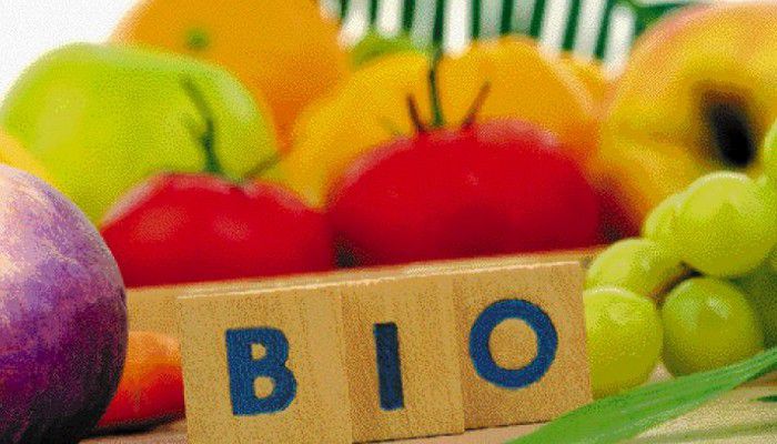 &Pi;&lambda;&eta;&rho;ώ&nu;&omicron;&nu;&tau;&alpha;&iota; &omicron;&iota; &delta;&iota;&kappa;&alpha;&iota;&omicron;ύ&chi;&omicron;&iota; &Beta;&iota;&omicron;&lambda;&omicron;&gamma;&iota;&kappa;ή&sigmaf; &Gamma;&epsilon;&omega;&rho;&gamma;ί&alpha;&sigmaf; &sigma;&tau;&omicron; &Rho;έ&theta;&upsilon;&mu;&nu;&omicron;