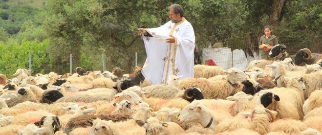 &Alpha;&sigma;&eta; &Gamma;&omega;&nu;&iota;ά: &Tau;&omicron; &pi;&alpha;&nu;&eta;&gamma;ύ&rho;&iota; &tau;&omicron;&upsilon; &Alpha;&gamma;. &Gamma;&epsilon;&omega;&rho;&gamma;ί&omicron;&upsilon; &kappa;&alpha;&iota; &eta; &epsilon;&upsilon;&lambda;&omicron;&gamma;ί&alpha; &tau;&omega;&nu; &alpha;&iota;&gamma;&omicron;&pi;&rho;&omicron;&beta;ά&tau;&omega;&nu;
