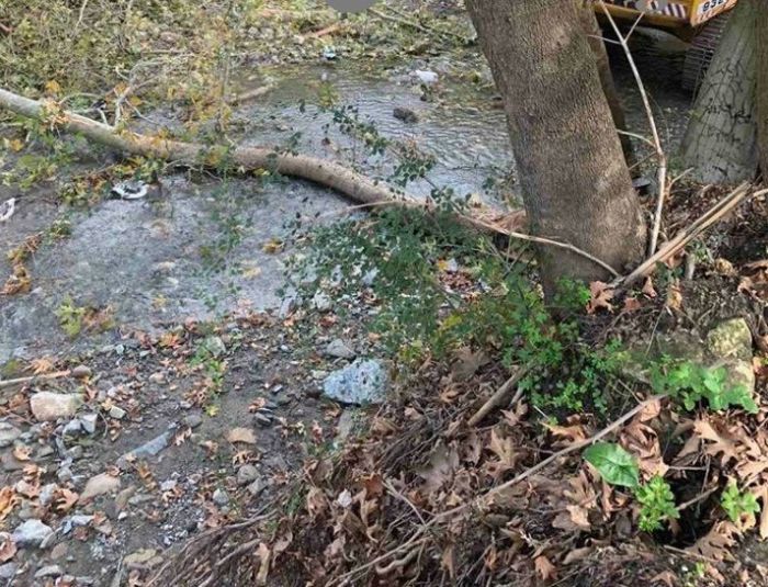 &Delta;έ&nu;&tau;&rho;&omicron; &kappa;&alpha;&tau;&alpha;&pi;&lambda;ά&kappa;&omega;&sigma;&epsilon; &kappa;&alpha;&iota; &sigma;&kappa;ό&tau;&omega;&sigma;&epsilon; ά&nu;&delta;&rho;&alpha; &sigma;&tau;&alpha; &Chi;&alpha;&nu;&iota;ά