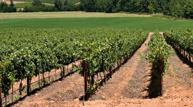 &laquo;3&eta; &Pi;&rho;ό&sigma;&kappa;&lambda;&eta;&sigma;&eta; &tau;&eta;&sigmaf; &Delta;&rho;ά&sigma;&eta;&sigmaf; 10.1.08 &tau;&omicron;&upsilon; &Pi;&rho;&omicron;&gamma;&rho;ά&mu;&mu;&alpha;&tau;&omicron;&sigmaf; &Alpha;&gamma;&rho;&omicron;&tau;&iota;&kappa;ή&sigmaf; &Alpha;&nu;ά&pi;&tau;&upsilon;&xi;&eta;&sigmaf; &tau;&eta;&sigmaf;  &Epsilon;&lambda;&lambda;ά&delta;&alpha;&sigmaf; (&Pi;&Alpha;&Alpha;) 2014-2020&raquo;