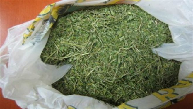 &Kappa;&rho;&alpha;&tau;&omicron;ύ&sigma;&epsilon; &kappa;&rho;&upsilon;&mu;&mu;έ&nu;&alpha; &sigma;&epsilon; "&kappa;&alpha;&beta;ά&nu;&tau;&zeta;&alpha;" 900 &kappa;&iota;&lambda;ά &chi;&alpha;&sigma;ί&sigmaf; &sigma;&tau;&omicron; &Lambda;&alpha;&sigma;ί&theta;&iota;