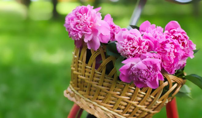 &Delta;&epsilon;ί&tau;&epsilon; &tau;&iota; &kappa;&alpha;&iota;&rho;ό &theta;&alpha; &kappa;ά&nu;&epsilon;&iota; &tau;&omicron; &delta;&iota;ή&mu;&epsilon;&rho;&omicron; &tau;&eta;&sigmaf; &Pi;&rho;&omega;&tau;&omicron;&mu;&alpha;&gamma;&iota;ά&sigmaf; &sigma;&tau;&eta;&nu; &Kappa;&rho;ή&tau;&eta;