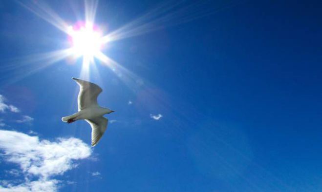 &Omega;&sigmaf; &tau;&omicron;&upsilon;&sigmaf; 28 &beta;&alpha;&theta;&mu;&omicron;ύ&sigmaf; &Kappa;&epsilon;&lambda;&sigma;ί&omicron;&upsilon; &eta; &theta;&epsilon;&rho;&mu;&omicron;&kappa;&rho;&alpha;&sigma;ί&alpha;