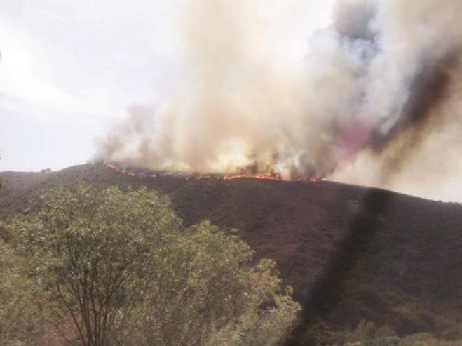 &Phi;&omega;&tau;&iota;ά &tau;&omicron; &mu;&epsilon;&sigma;&eta;&mu;έ&rho;&iota; &sigma;&epsilon; &alpha;&gamma;&rho;&omicron;&tau;&iota;&kappa;ή &pi;&epsilon;&rho;&iota;&omicron;&chi;ή