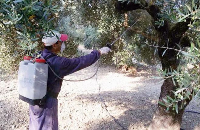 ΣΥΝΕΧΙΖΕΤΑΙ Ο ΔΕΥΤΕΡΟΣ ΓΥΡΟΣ ΨΕΚΑΣΜΩΝ