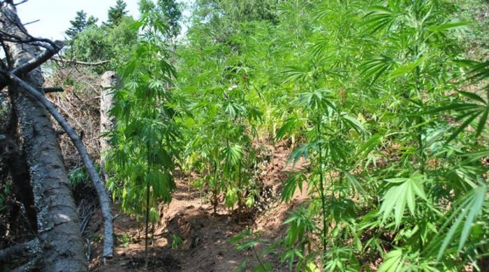 &Beta;&rho;έ&theta;&eta;&kappa;&epsilon; &omicron; &hellip;. &kappa;&alpha;&lambda;&lambda;&iota;&epsilon;&rho;&gamma;&eta;&tau;ή&sigmaf; &mu;&epsilon;&gamma;ά&lambda;&eta;&sigmaf; &chi;&alpha;&sigma;&iota;&sigma;&omicron;&phi;&upsilon;&tau;&epsilon;ί&alpha;&sigmaf; &sigma;&tau;&omicron; &Rho;έ&theta;&upsilon;&mu;&nu;&omicron;