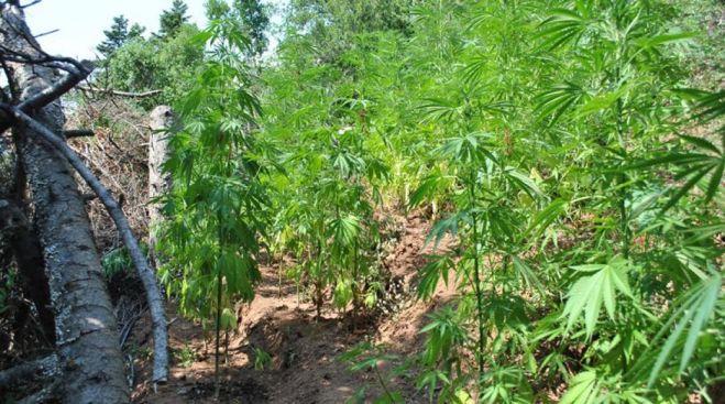 &Beta;&rho;έ&theta;&eta;&kappa;&epsilon; &omicron; &hellip;. &kappa;&alpha;&lambda;&lambda;&iota;&epsilon;&rho;&gamma;&eta;&tau;ή&sigmaf; &mu;&epsilon;&gamma;ά&lambda;&eta;&sigmaf; &chi;&alpha;&sigma;&iota;&sigma;&omicron;&phi;&upsilon;&tau;&epsilon;ί&alpha;&sigmaf; &sigma;&tau;&omicron; &Rho;έ&theta;&upsilon;&mu;&nu;&omicron;