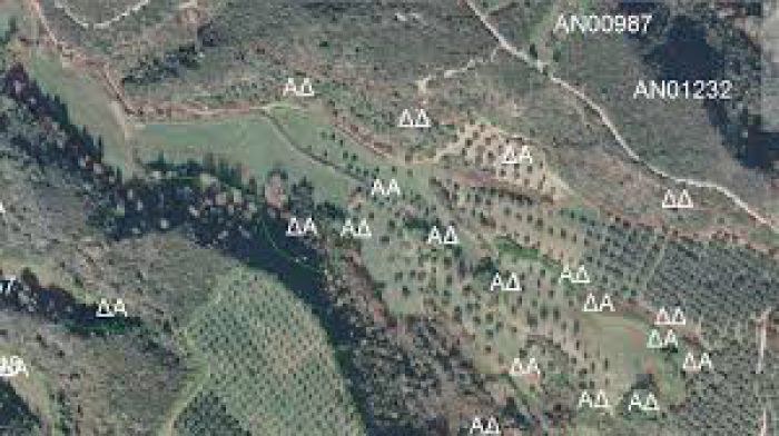 Ζητούν να μην &quot;πληρώσουν χρυσάφι&quot; τους δασικούς χάρτες οι αγρότες