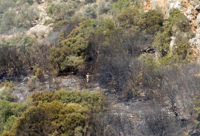 &Mu;&alpha;ί&nu;&epsilon;&tau;&alpha;&iota; &eta; &mu;&epsilon;&gamma;ά&lambda;&eta; &phi;&omega;&tau;&iota;ά &sigma;&tau;&omicron; &Rho;έ&theta;&upsilon;&mu;&nu;&omicron;,&sigma;&upsilon;&nu;&epsilon;&lambda;ή&phi;&theta;&eta; &eta;&lambda;&iota;&kappa;&iota;&omega;&mu;έ&nu;&omicron;&sigmaf;