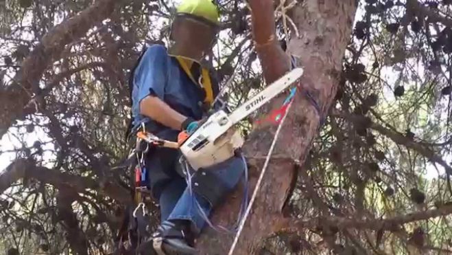 &Pi;&omicron;&iota;&omicron;&iota; &delta;&rho;ό&mu;&omicron;&iota; &theta;&alpha; &epsilon;ί&nu;&alpha;&iota; &kappa;&lambda;&epsilon;&iota;&sigma;&tau;&omicron;ί &lambda;ό&gamma;&omega; &kappa;&lambda;&alpha;&delta;&epsilon;&mu;ά&tau;&omega;&nu;