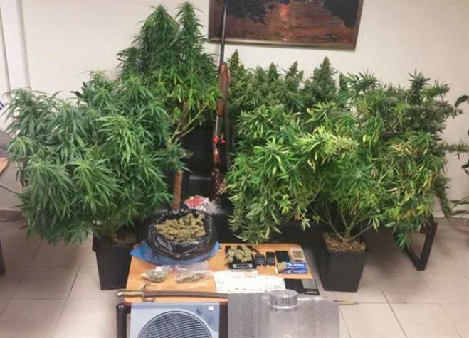 Έ&kappa;&rho;&upsilon;&beta;&epsilon; &kappa;ά&nu;&nu;&alpha;&beta;&eta; &sigma;&epsilon; &epsilon;&rho;&gamma;&alpha;&sigma;&tau;ή&rho;&iota;&omicron;, &tau;&omicron;&nu; "έ&pi;&iota;&alpha;&sigma;&alpha;&nu;" &sigma;&tau;&alpha; &pi;&rho;ά&sigma;&alpha;