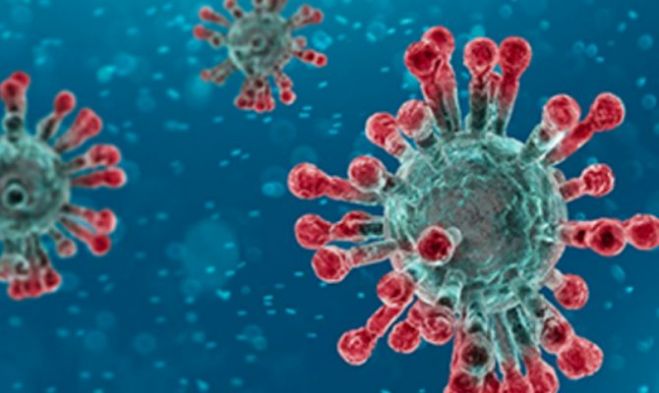 &Pi;&rho;&omega;&tau;&omicron;&beta;&omicron;&upsilon;&lambda;ί&alpha; &Psi;&eta;&phi;&iota;&alpha;&kappa;ή&sigmaf; &Kappa;&alpha;&iota;&nu;&omicron;&tau;&omicron;&mu;ί&alpha;&sigmaf; &tau;&omicron;&upsilon; &Iota;&Tau;&Epsilon; &epsilon;&nu;ά&nu;&tau;&iota;&alpha; &sigma;&tau;&omicron;&nu; &Kappa;&omicron;&rho;&omega;&nu;&omicron;ϊό